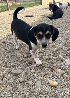 Whatsapp bild 2025 09 09 um 16.47.46 be61a732