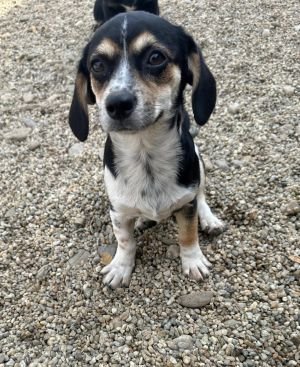 Whatsapp bild 2025 09 09 um 16.47.48 ebde370f