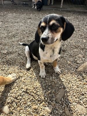 Whatsapp bild 2025 09 09 um 16.47.49 d37b5228