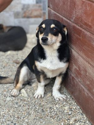 Whatsapp bild 2025 09 10 um 20.20.19 fffeefe2