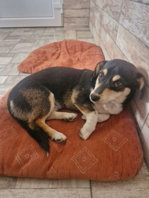 Whatsapp bild 2025 09 10 um 20.20.20 7c82c182