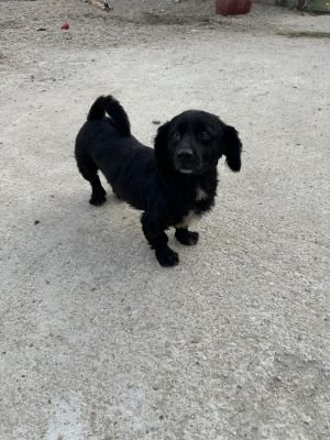 Whatsapp bild 2025 09 11 um 07.10.41 44cad49b