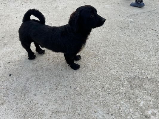 Whatsapp bild 2025 09 11 um 07.10.41 d9278238