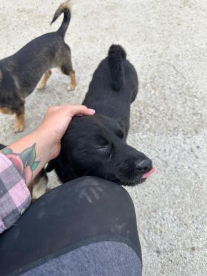 Whatsapp bild 2025 09 11 um 07.10.42 8e8c7a40