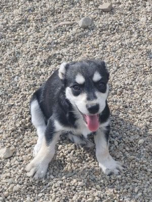 Whatsapp bild 2025 09 12 um 16.07.33 81905462