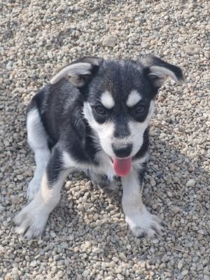 Whatsapp bild 2025 09 12 um 16.07.34 13083a72