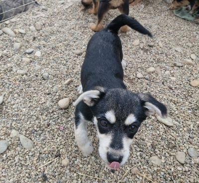 Whatsapp bild 2025 09 12 um 16.07.34 95e94934