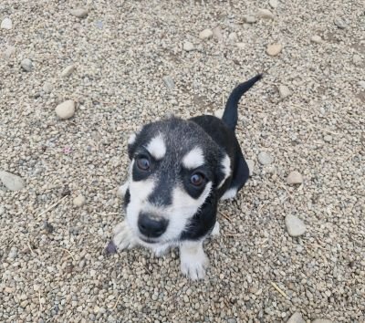 Whatsapp bild 2025 09 12 um 16.07.34 98459be4