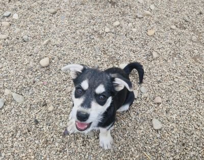 Whatsapp bild 2025 09 12 um 16.07.34 ad662372