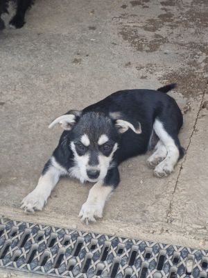 Whatsapp bild 2025 09 12 um 16.07.35 47e77f33