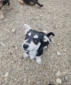 Whatsapp bild 2025 09 12 um 16.07.35 c0de0237