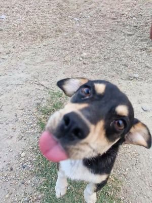 Whatsapp bild 2025 09 12 um 16.35.41 35de0e4a