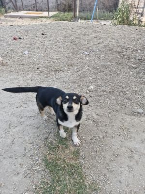 Whatsapp bild 2025 09 12 um 16.35.41 eff38002