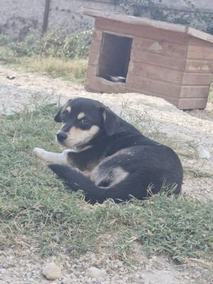 Whatsapp bild 2025 09 12 um 16.35.42 4b9f228d