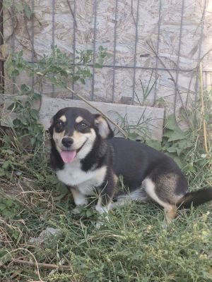 Whatsapp bild 2025 09 12 um 16.35.42 58f2ee15