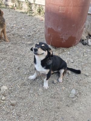 Whatsapp bild 2025 09 12 um 16.35.42 993779ca