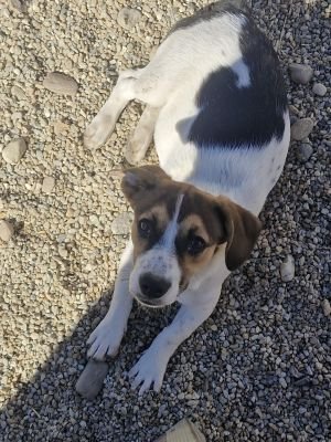 Whatsapp bild 2025 09 18 um 14.48.54 218a0d2b