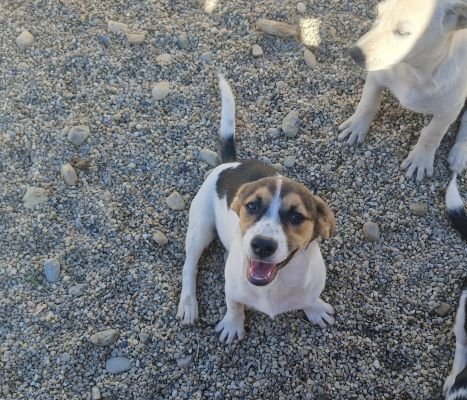 Whatsapp bild 2025 09 18 um 14.48.54 da95ab37