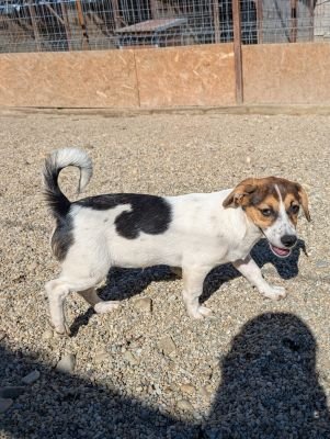 Whatsapp bild 2025 09 18 um 14.48.55 6ffa74fc