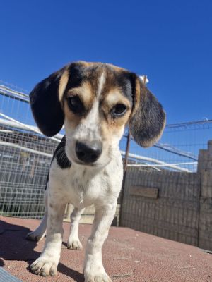 Whatsapp bild 2025 09 18 um 15.00.57 11c45886