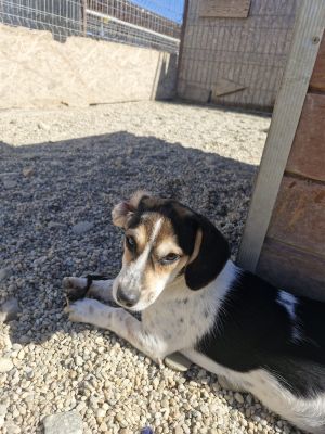 Whatsapp bild 2025 09 18 um 15.00.57 447569ae