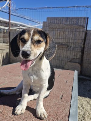 Whatsapp bild 2025 09 18 um 15.00.58 1d62c67c