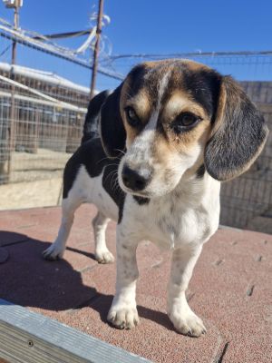 Whatsapp bild 2025 09 18 um 15.00.58 ca20b868