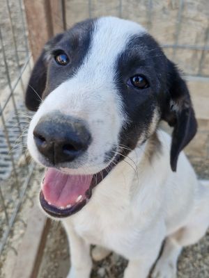 Whatsapp bild 2025 09 18 um 16.27.39 0990611b