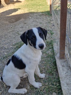 Whatsapp bild 2025 09 18 um 16.27.40 c831467d