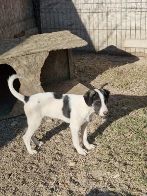 Whatsapp bild 2025 09 18 um 16.27.42 0798466f