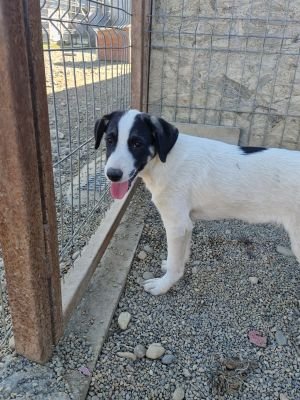 Whatsapp bild 2025 09 18 um 16.27.43 a683127c