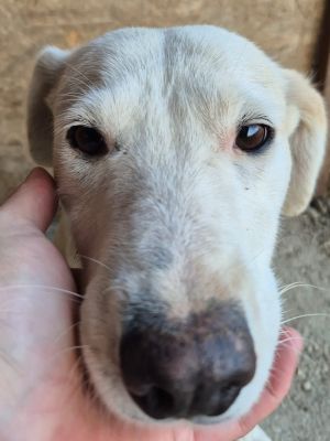 Whatsapp bild 2025 09 25 um 10.00.33 30ec77be