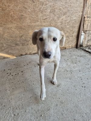 Whatsapp bild 2025 09 25 um 10.00.41 1647c05f