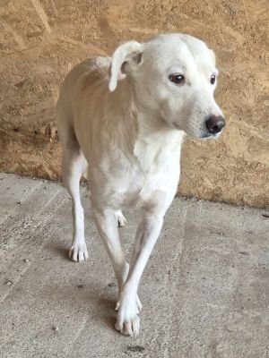 Whatsapp bild 2025 09 25 um 10.00.42 8505c7be