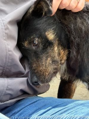 Whatsapp bild 2025 10 06 um 13.46.13 01154db9