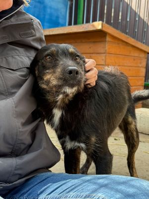 Whatsapp bild 2025 10 06 um 13.46.15 756bcff2