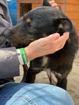 Whatsapp bild 2025 10 06 um 13.46.16 9a5e9dfb