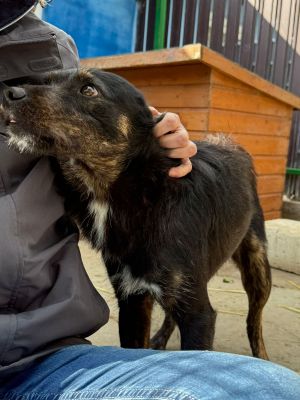 Whatsapp bild 2025 10 06 um 13.46.16 e22004b0