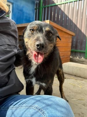 Whatsapp bild 2025 10 06 um 13.46.16 f64e037b