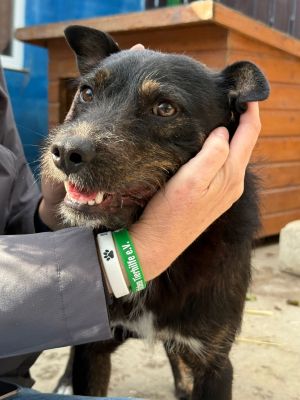 Whatsapp bild 2025 10 06 um 13.46.17 06f0d712