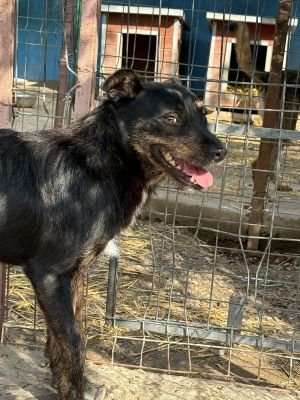 Whatsapp bild 2025 10 06 um 13.46.17 e9d65638