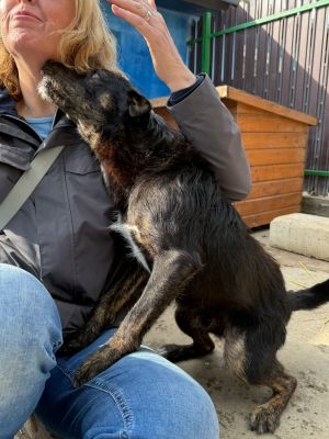 Whatsapp bild 2025 10 06 um 13.46.18 00148bd1