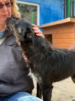 Whatsapp bild 2025 10 06 um 13.46.19 1f7028d8