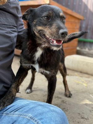 Whatsapp bild 2025 10 06 um 13.46.19 56a9eb14