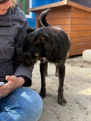 Whatsapp bild 2025 10 06 um 13.46.19 ad39244d