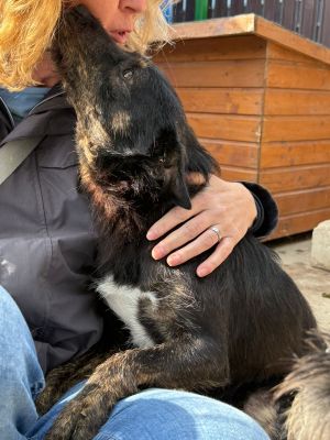 Whatsapp bild 2025 10 06 um 13.46.20 7f335060