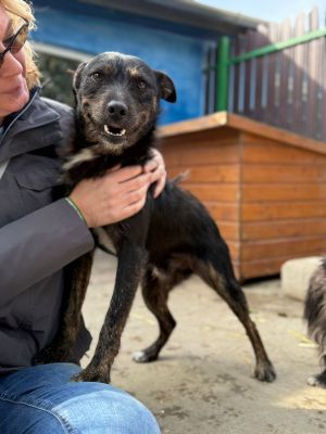 Whatsapp bild 2025 10 06 um 13.46.20 aaadba39