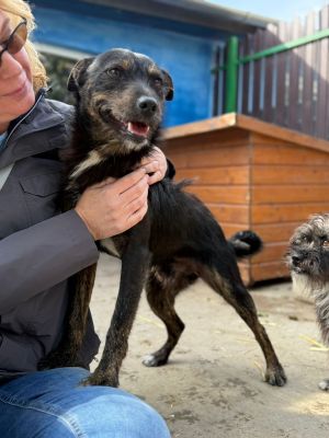 Whatsapp bild 2025 10 06 um 13.46.20 ce400a7c