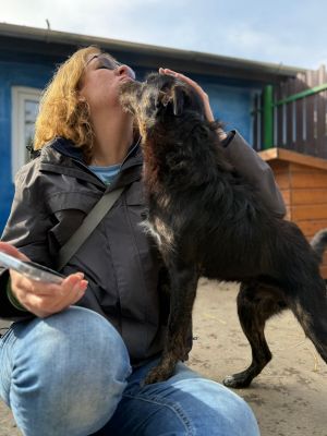 Whatsapp bild 2025 10 06 um 13.46.22 ac77ae25