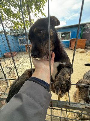 Whatsapp bild 2025 10 06 um 13.46.43 875cff7b